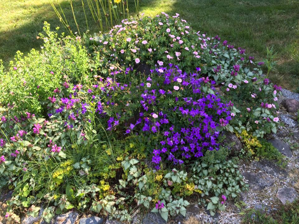 Gotlandsbyggen tar nu helg och önskar alla en riktig trevlig midsommarhelg. Vi... 2